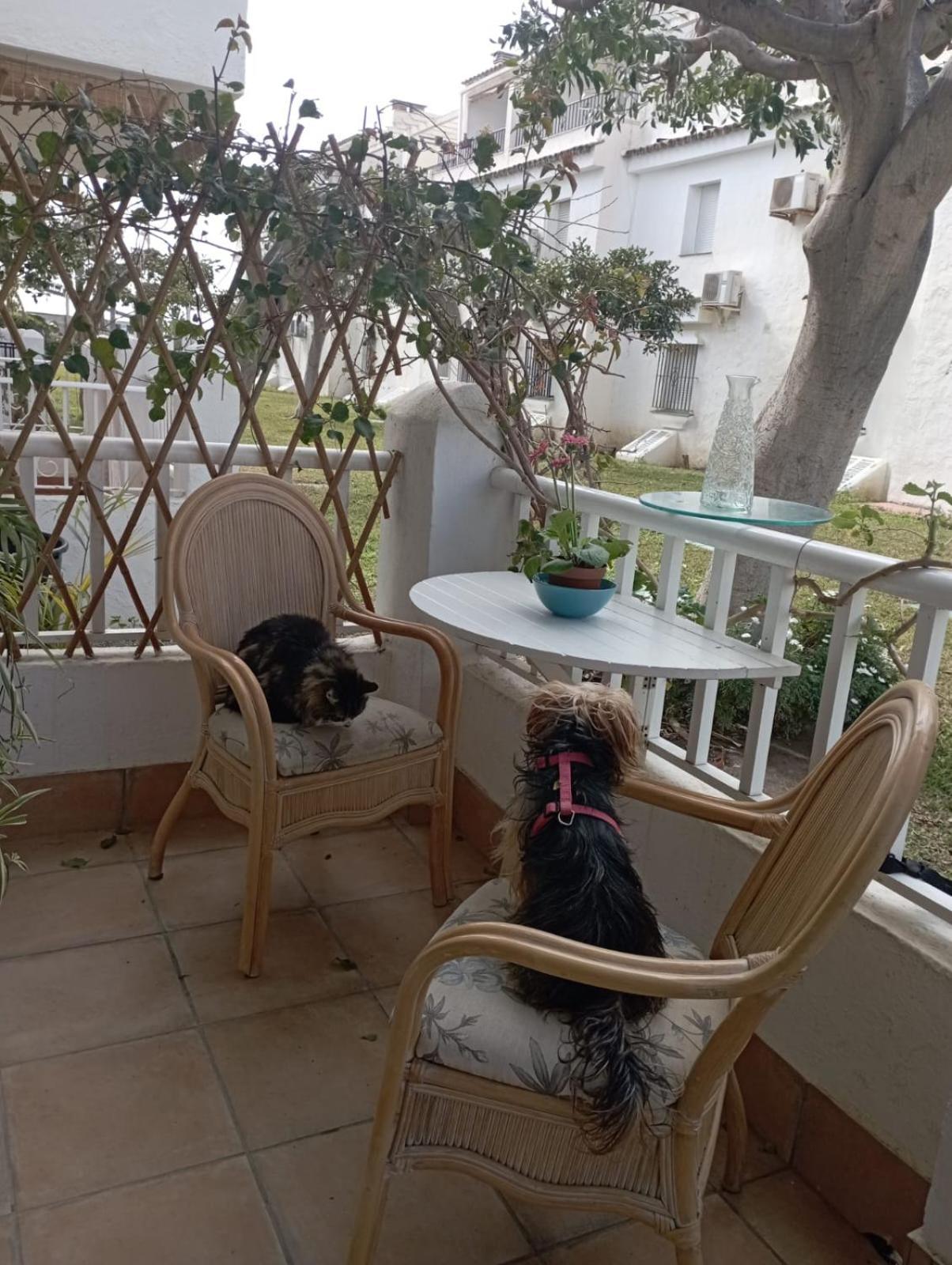 Apartamento Laguna Beach Torrox Costa Zewnętrze zdjęcie